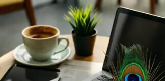 Social Media Marketing for Apps: Strategies That Convert Cluttered Delhi café table with phone, chai, feather.